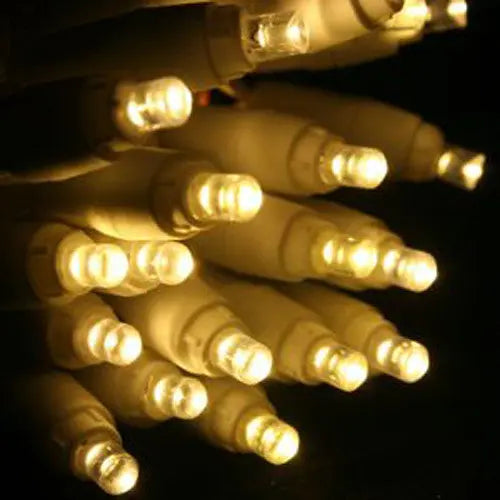 1 Set of 20 LED Plain Warm White Bulb Battery Powered String Lights Christmas Gift Home Wedding Party Bedroom Decoration Table Centrepiece Bonnyrigg Produce & Garden Supplies
