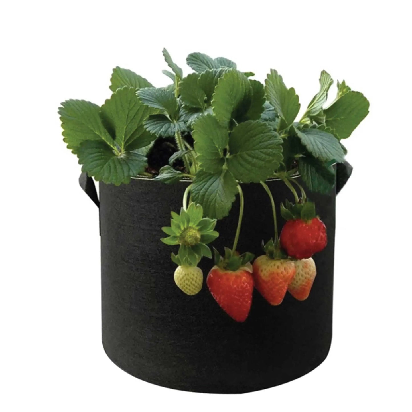 6 Pck 10 Gallon Fabric Flower Pots 38L Garden Planter Bags Black Felt Root Pouch Bonnyrigg Produce & Garden Supplies