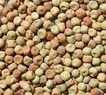 Avigrain Dun Peas – Premium Quality Feed for Livestock and Poultry