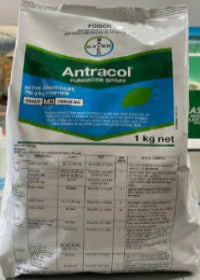Bayer ANTRACOL Fungicide Spray 1kg
