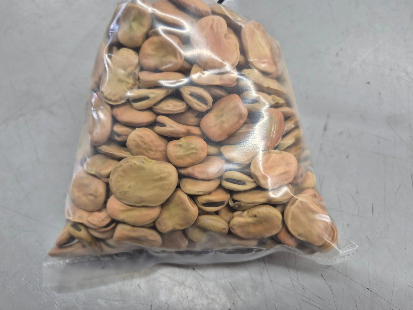 Broad Bean 500gram our own packaging Bonnyrigg Produce & Garden Supplies