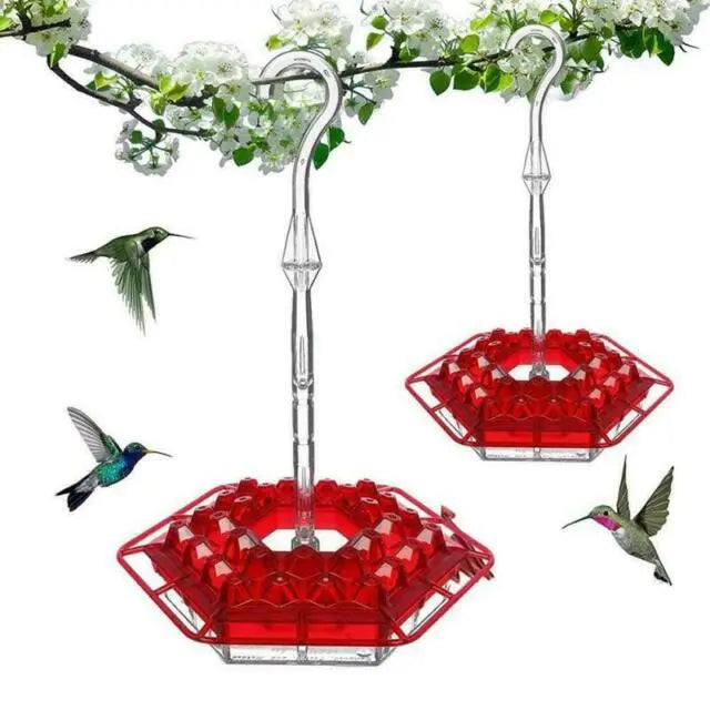 Hexagonal Flower Hummingbird Feeder in Australia | Hanging