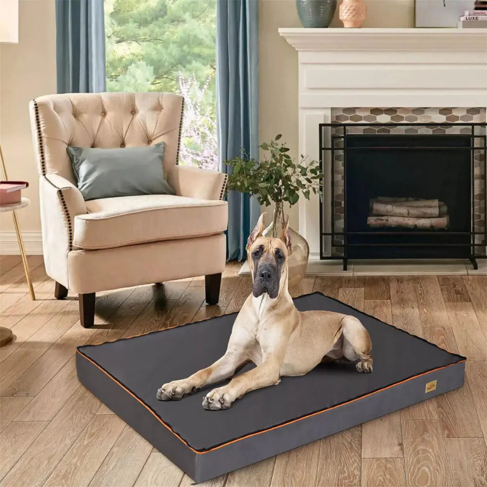 Orthopaedic Dog Bed – Large Padded Bed with Washable Cover