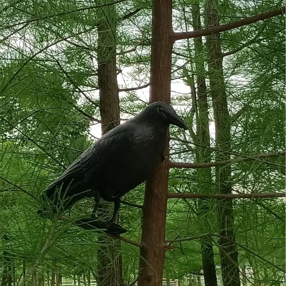Simulation Black Crow Raven Pigeon Repellent