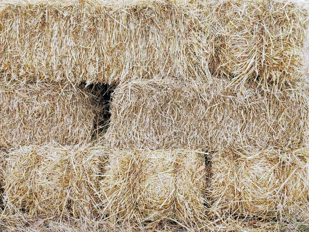 Straw - Small Squares and Round Bales