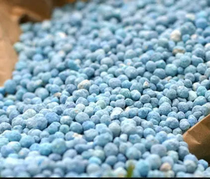 Fertilizers for Lawns, Veggies and Garden Beds