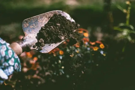 Garden-Soil-Mulch Bonnyrigg Produce & Garden Supplies