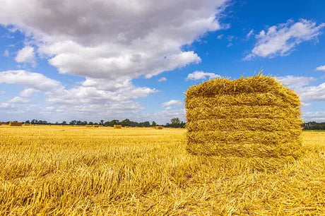 Hay & Straw Bonnyrigg Produce & Garden Supplies