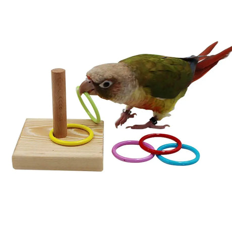 Other Pet Accessories Bonnyrigg Produce & Garden Supplies