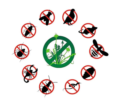 Pest Control Products for Home and Garden in Australia