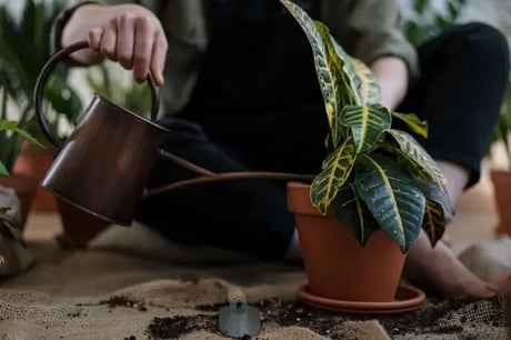 Pots & Planter Bags Bonnyrigg Produce & Garden Supplies