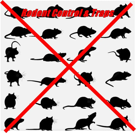 Rodent-Control-Traps Bonnyrigg Produce & Garden Supplies