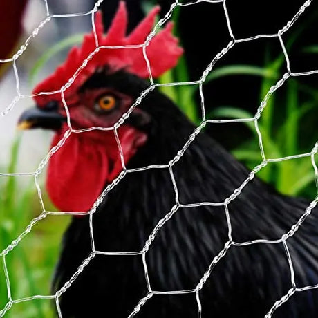Wire-Wire-Mesh Bonnyrigg Produce & Garden Supplies
