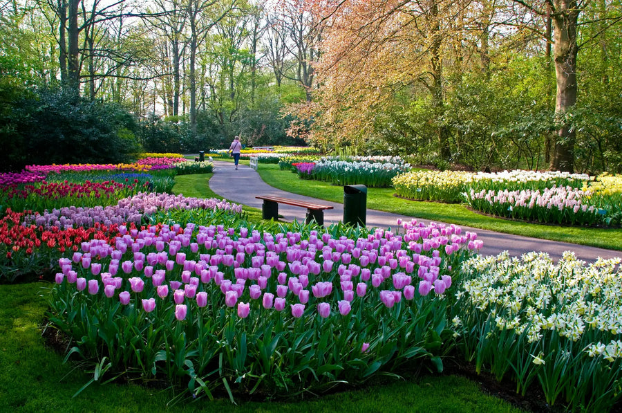 Garden and home supplies