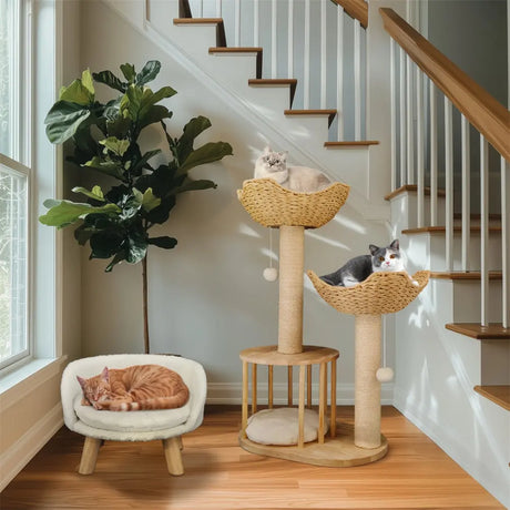 3 Tier Cat Climbing Tree | Indoor Tower with Scratching Post