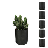 6 Pck 1 Gallon Fabric Flower Pots 3.8L Garden Planter Bags Black Felt Root Pouch Bonnyrigg Produce & Garden Supplies