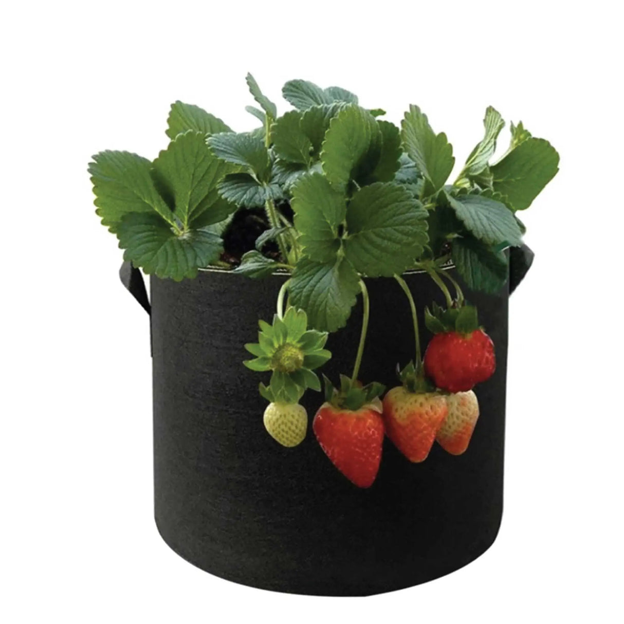 6 Pack 10 Gallon Fabric Grow Bags 38L – Black Felt Planter Pots with Handles
