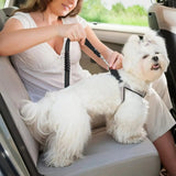 Adjustable Heavy Duty Dog Car Seat Belt with Striped Nylon Design