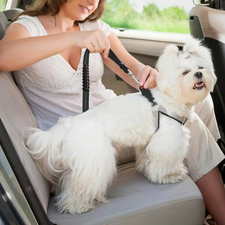 Adjustable Heavy Duty Dog Car Seat Belt with Striped Nylon Design