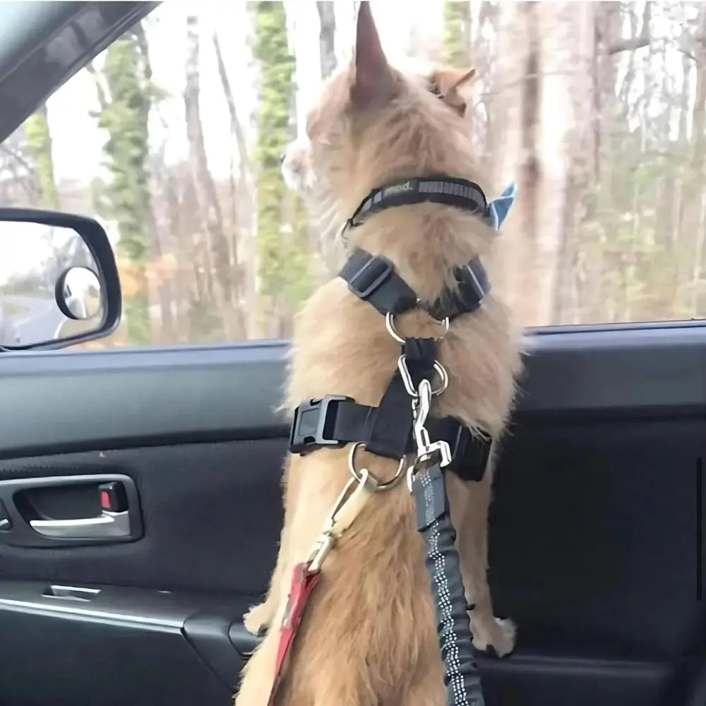 Adjustable Heavy Duty Dog Car Seat Belt with Striped Nylon Design