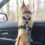 Adjustable Heavy Duty Dog Car Seat Belt with Striped Nylon Design