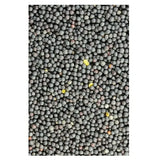 Avigrain Canola Seed 1kg–20kg – Whole Birdseed for Finches, Canaries & Quail

