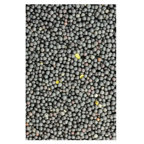 Avigrain Canola Seed 1kg–20kg – Whole Birdseed for Finches, Canaries & Quail
