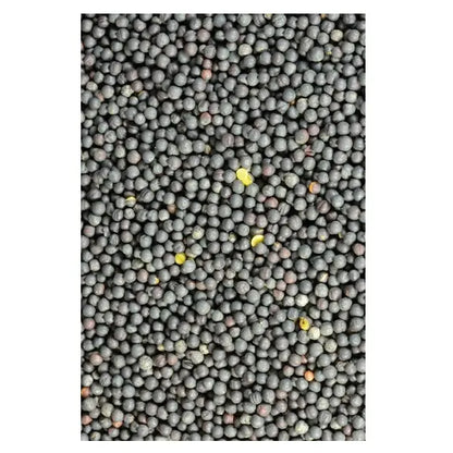 Avigrain Canola Avigrain