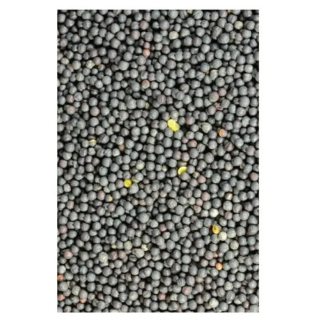 Avigrain Canola Seed 1kg–20kg – Whole Birdseed for Finches, Canaries & Quail
