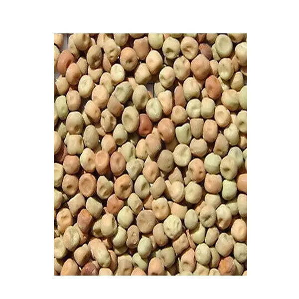 Avigrain Dun Peas Avigrain