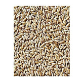 Avigrain Hulled Oats – De-Husked Birdseed for Budgies, Cockatiels & Finches
