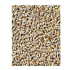 Avigrain Hulled Oats – De-Husked Birdseed for Budgies, Cockatiels & Finches
