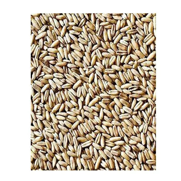 Avigrain Hulled Oats – De-Husked Birdseed for Budgies, Cockatiels & Finches
