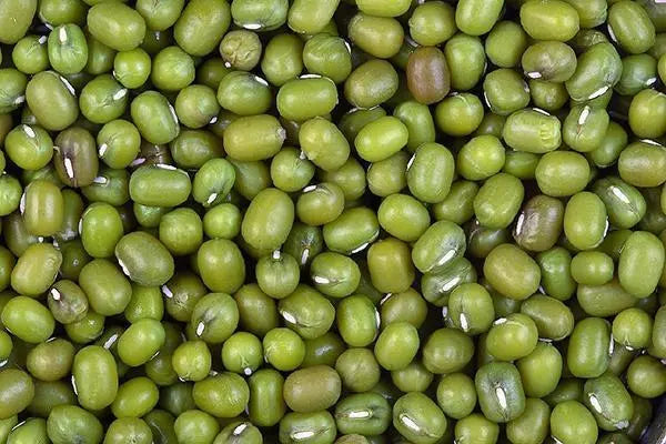 Avigrain Mung Beans- good source of protein, fiber, vitamins, and minerals Avigrain