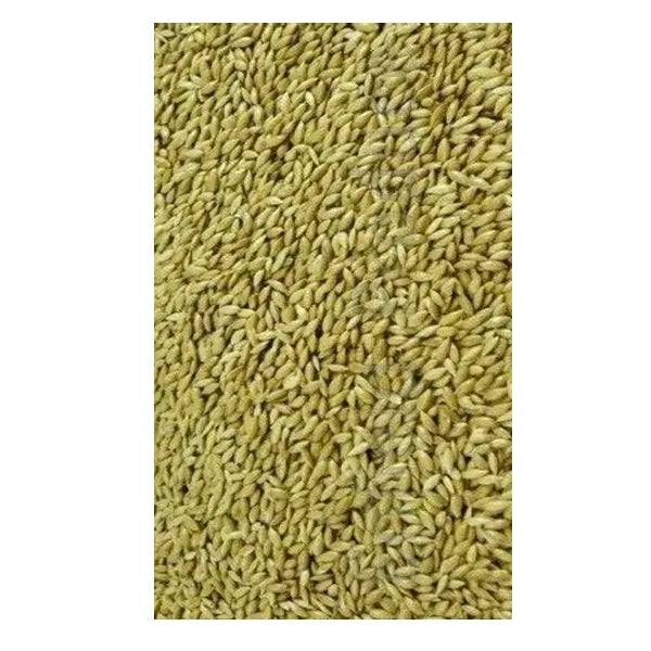 Avigrain Plain Canary Seed: Australian-Grown Base Seed for Canaries, Finches and Budgies