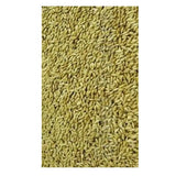 Avigrain Plain Canary Seed: Australian-Grown Base Seed for Canaries, Finches and Budgies