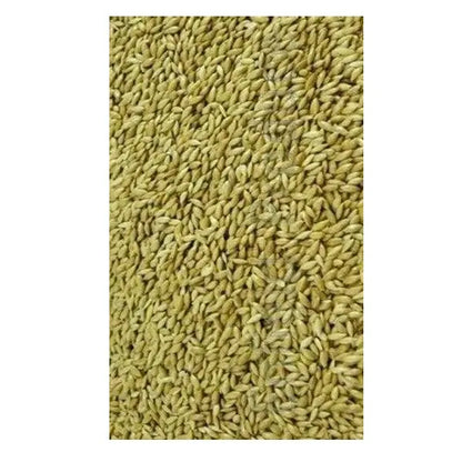 Avigrain Plain Canary Seed Avigrain
