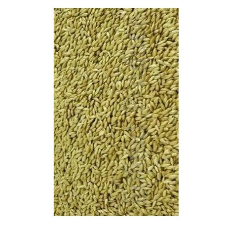 Avigrain Plain Canary Seed: Australian-Grown Base Seed for Canaries, Finches and Budgies