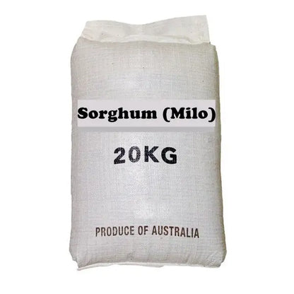 Avigrain Sorghum (Milo) Bird Seed – Australian Grain for Aviary Birds & Poultry
