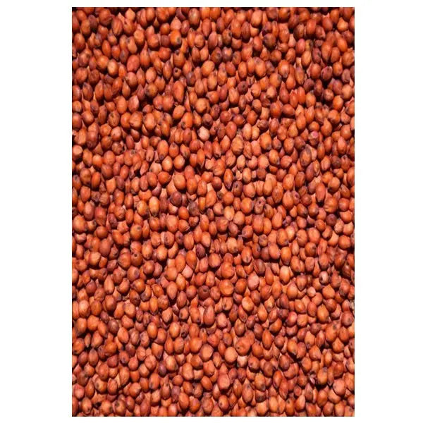 Avigrain Sorghum (Milo) Bird Seed – Australian Grain for Aviary Birds & Poultry

