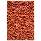 Avigrain Sorghum (Milo) Bird Seed – Australian Grain for Aviary Birds & Poultry
