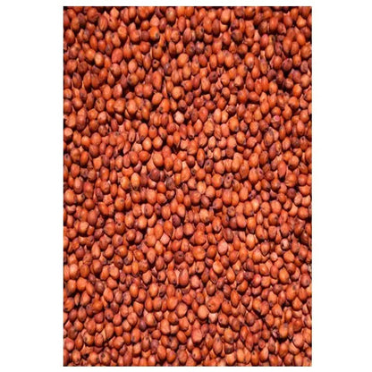 Avigrain Sorghum (Milo) Bird Seed – Australian Grain for Aviary Birds & Poultry
