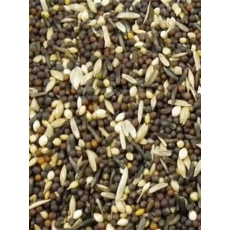 Avigrain Tonic Seed Mix – Essential Vitamins & Nutrients for Birds Avigrain