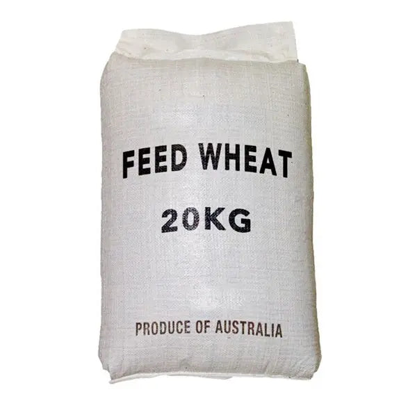 Avigrain Feed Wheat – Australian Whole Grain for Poultry, Pigeons & Birds
