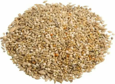 Avigrain Feed Wheat – Australian Whole Grain for Poultry, Pigeons & Birds

