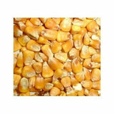 Avigrain Whole Corn – Australian Feed Grain for Poultry, Pigeons & Large Parrots
