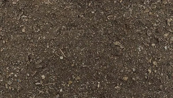 Blue Star Veggie Garden Compost Mix Soil 30L: Organic Blend for Vegetable Beds