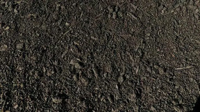 Blue Star Cow Manure Soil 30L | Organic Enricher