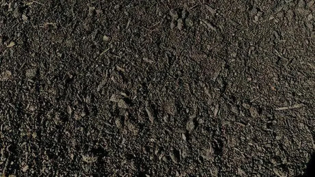 Blue Star Cow Manure Soil 30L | Organic Enricher