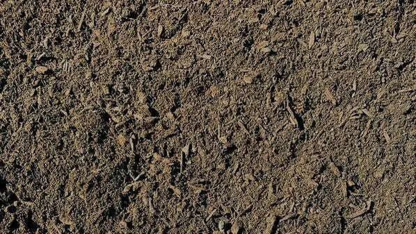 Blue Star Organic Garden Mix Soil 30L: Enriched Garden Bed Soil for Veggies and Flowers